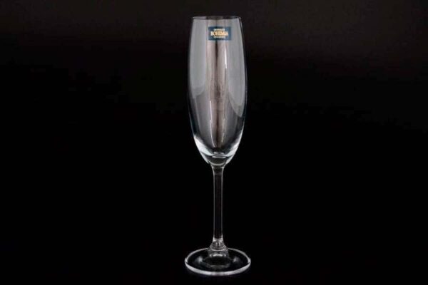 GASTRO Набор бокалов для шампанского Crystalite Bohemia 220 мл farforhouse