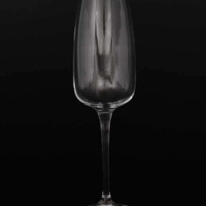ALIZEE Набор фужеров для шампанского 290 мл Crystalite (6 шт) farforhouse