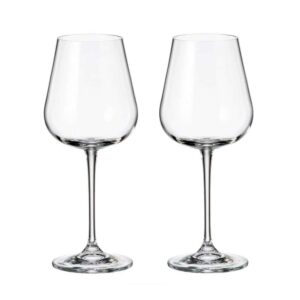 Набор бокалов для вина Crystalite Bohemia Аrdea/Amudsen 450 мл (2 шт) farforhouse