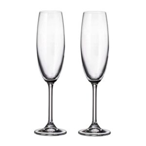 Набор бокалов для шампанского Crystalite Bohemia Colibri/Gastro 220 мл (2 шт) farforhouse